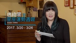 03/20-03/26｜星座運勢週報｜唐綺陽(唐立淇)