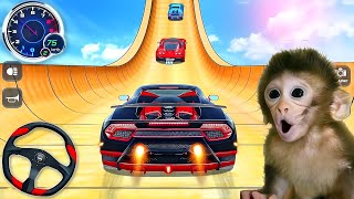 insane mega ramp car stunts! 🚗💨 (monkey's shocked reaction!)