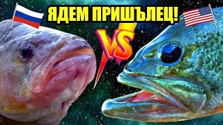 Ядем НОВ ВИД риба! АМЕРИКАНСКИ VS РУСКИ костур! Кой е по-вкусен? Catch&Cook на БЛЕК БАС