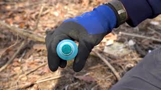 How to Remove Honeysuckle Properly | Cincinnati Parks