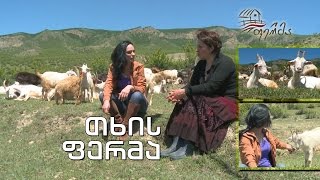 ფერმა - თხების ფერმა