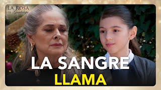 Normita descubre que su abuelita es una gran actriz de cine | MILAGRO DE NAVIDAD 3/4 | LRDG