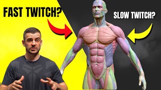 Fast Twitch Muscle Fibres EXPLAINED