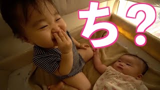 【おやすみトーク】少しずつ会話を楽しむようになってきた年子姉妹　#7