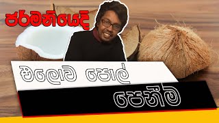 පොල් දැක්කම මොකද වුණේ? | ඔයාටත් මෙහෙම වෙලා තියනවද? | Coconut Story