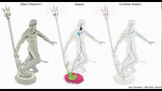 Results of skeletonization algorithm