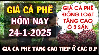 Giá cà phê hôm nay ngày 24/1/2025|Giá cà phê tiếp đà tăng cao trên TG và ở các địa phương