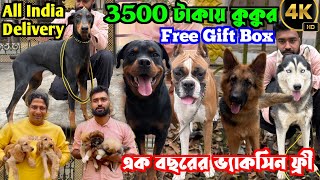 Dog Kennel in Kolkata. Kolkata Dog Market. Dog Market in Kolkata Price.