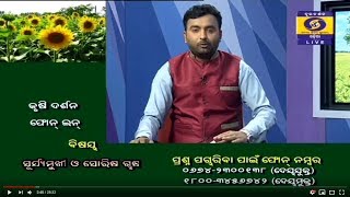 ସୂର୍ଯ୍ୟମୁଖୀ ଓ ସୋରିଷ ଚାଷ || କୃଷି ଦର୍ଶନ || Krushi Darshan ||