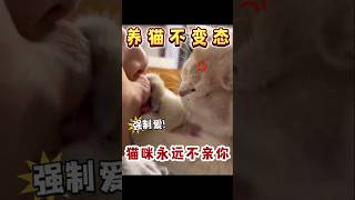 养猫不强行爱，猫咪可能永远不亲你。 #新手养猫 #宠物知识 #猫咪 #养猫经验 #养猫日常