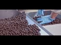 film de marque la chocolaterie monbana