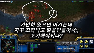 [스틱] 늑대 화가나네요^^ 말을 안들어요 팀원이ㅋㅋㅋㅋ 헌터스타팀플 TeamPlay StarCraft