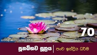 sonduru niwan maga 70 | පුනබ්භව සූත්‍රය | Shraddha TV