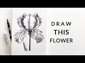 How to Draw an Iris with a Fountain Pen | Pen & Ink Flower Tutorial