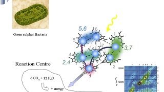 Taming the Quanta