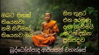 🙏buddothpado ආර්යයන් වහන්සේ🙏