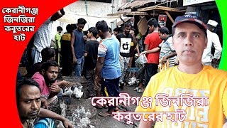 Keraniganj jinjira pigeon hat | কেরানীগঞ্জ জিনজিরা কবুতরের হাট | jinjira pigeon hat | Pigeons Market