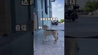 小小年纪就想打工自力更生了