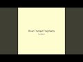 River Tranquil Fragments
