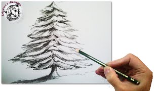 Cómo Dibujar Un Abeto o Arbol de Navidad Realista Paso a Paso a Lápiz: Tecnicas de Dibujo