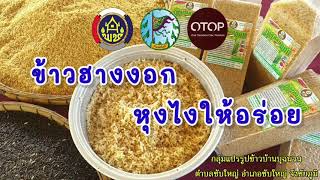 #ข้าวฮางงอก #หุงยังไงให้อร่อย บ้านบุฉนวน อ.ซับใหญ่ จ.ชัยภูมิ #สพจ_ชัยภูมิ