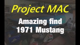 NEW Project Amazing 1971 Mustang