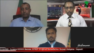 ONN LIVE :    Bitootessa 03  2019   QOPHII  HUBANNAA    KEESSUMMOOTNI :- Obbo Caalaa Hayiluu fi Obbo