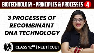 Biotechnology - Principles & Processes 04 | 3 Processes of Recombinant DNA Technology | 12th / NEET