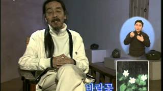 우리말 우리글 - 도둑놈의 갈고리와 바람꽃_#001