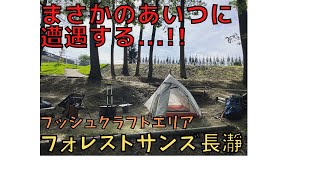 徒歩ソロキャンプ【フォレストサンズ長瀞】