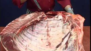 Beef Forequarter Carcase Breakdown