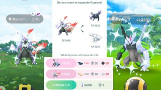 Finally I Got✨️Shiny Black \u0026 White Kyurem in #pokémongo