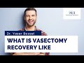 What is Vasectomy Recovery Like - Dr. Yaser Bassel