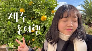 [chaem vlog] 제주도 혼여행 vlog 2|겨울 여행|함덕해수욕장|우니담|국립제주박물관|용두암|용연구름다리|듀포레|도두동