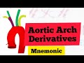 Aortic Arches Derivatives Mnemonic | MedSurvival