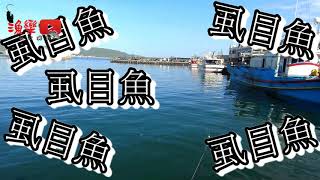 【漁樂FISHING】帶著稻穗釣漁趣 vlog-29