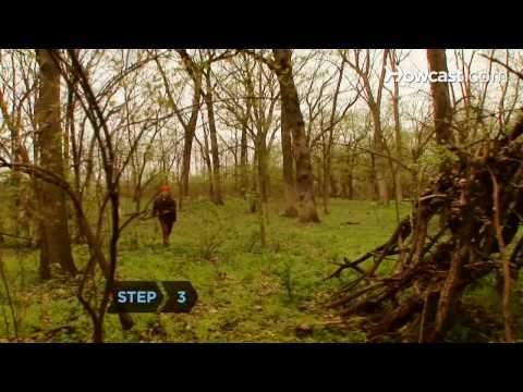 How to Build a Shelter in the Forest How to Build a Shelter in the Forest