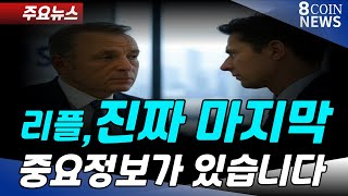 리플, 이것만 알고 가라