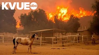 California wildfires destroy 132 structures as fierce winds spur on destruction