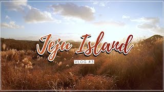 VLOG #DARIKOREA l 🍊 Jeju Island Travelog l  제주도 여행