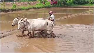 പ്രകൃതിയിലേക്ക് ഒരു തിരിഞ്ഞ് നോട്ടം