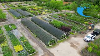 Summer Inventory at Ocean Wholesale Nursery