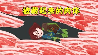 《逃出崇山医院》38：被藏起来的肉体！