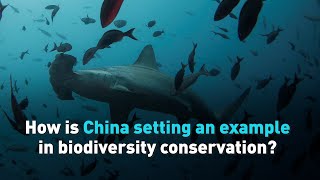 How is China setting an example in biodiversity conservation?