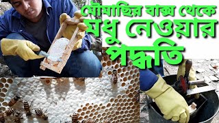 মৌমাছির বাক্স হতে মধু নিষ্কশনের পদ্ধতি | How to extract Honey from beehive