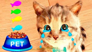 Little Kitten Preschool Adventure Educational Games -Play Fun Cute Kitten Pet Care Learning Apps