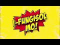 FUNGISOL - region 2