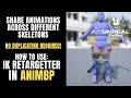 Share Animations with Different Skeletons (How to use IK Retargeter in Animation Blueprint) UE5