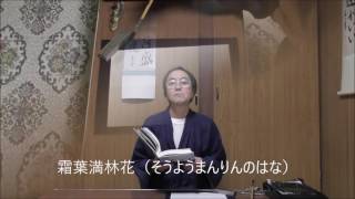 田村季山先生による禅語解説と範書「霜葉満林花」