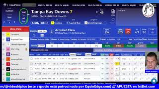 EquinEdge.com Caballos Claves #GulfstreamPark 2024/11/29 @equinedge